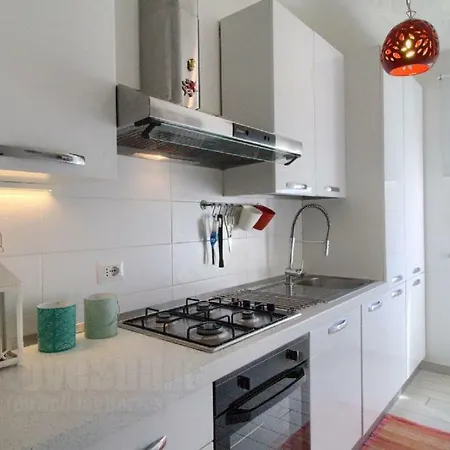 Starfish By Lovesud *